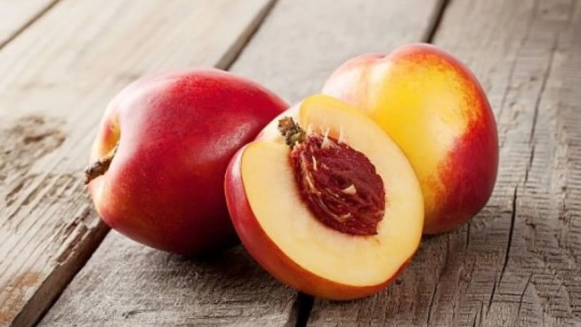 ვაშლატამა