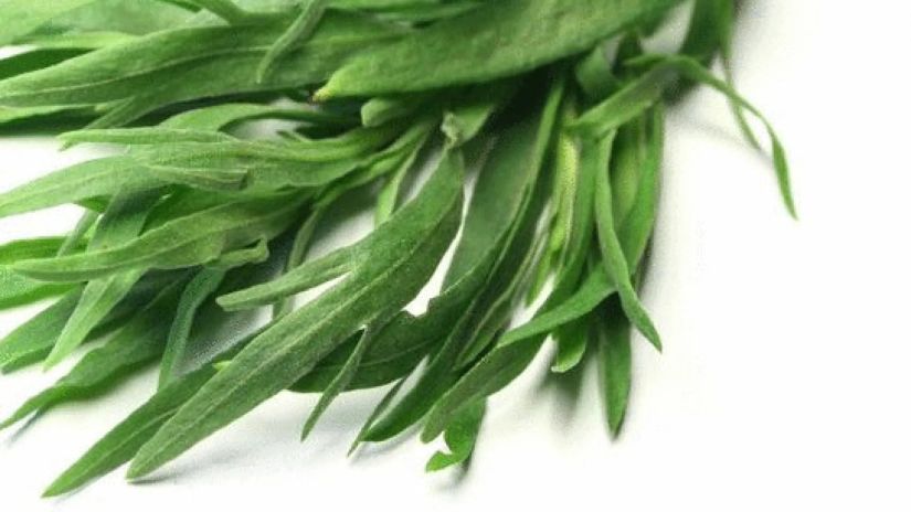 ტარხუნა