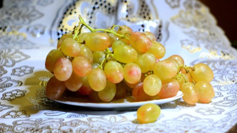 ყურძენი ყურძენი