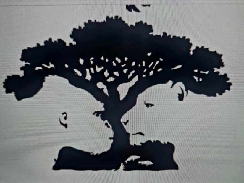 ტესტი