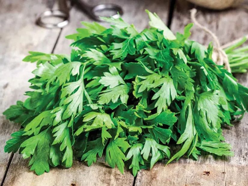 შეუცნობელი