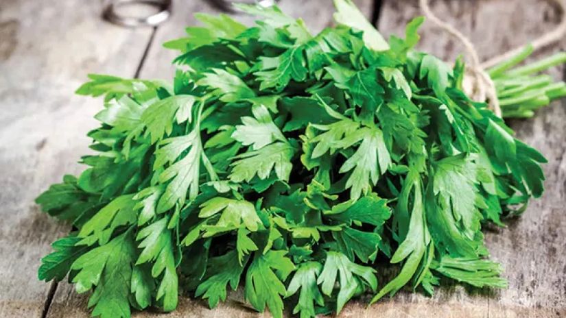 შეუცნობელი