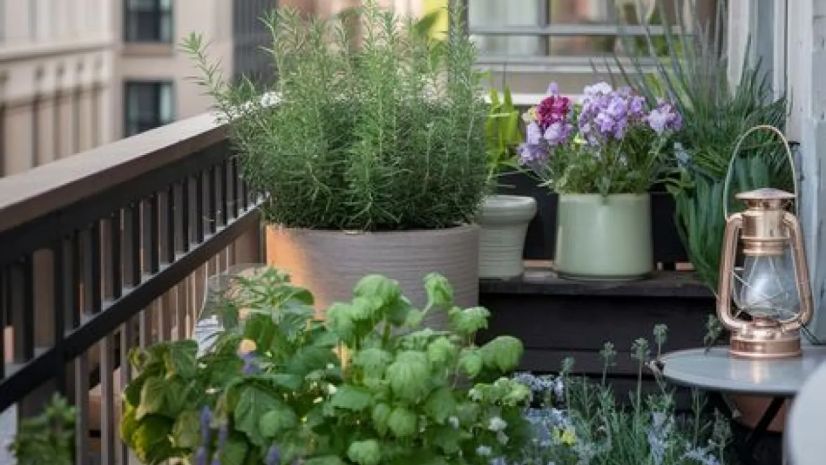 შეუცნობელი