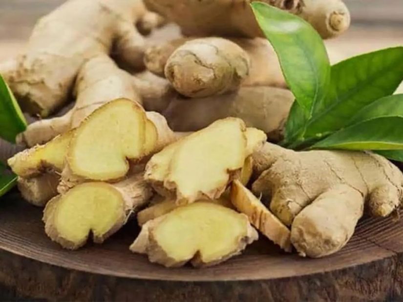 ჯანჯაფილი