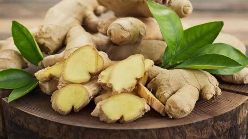 ჯანჯაფილი