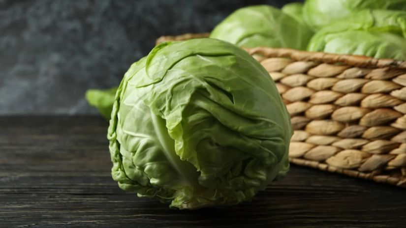 კომბოსტო