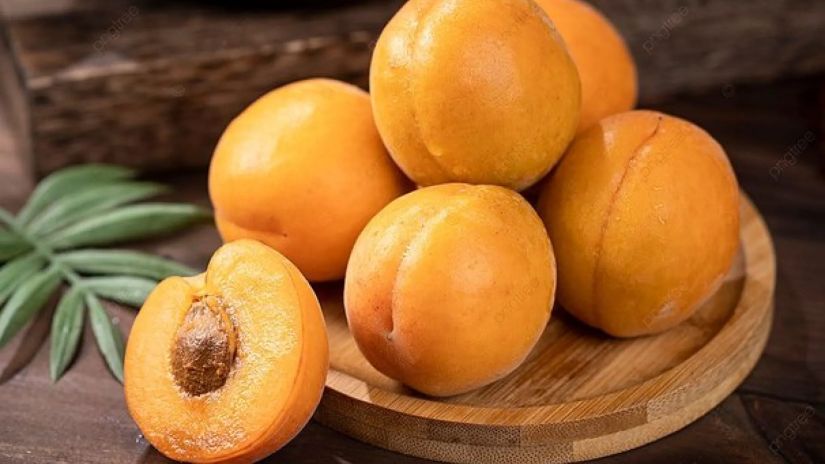 გარგარი