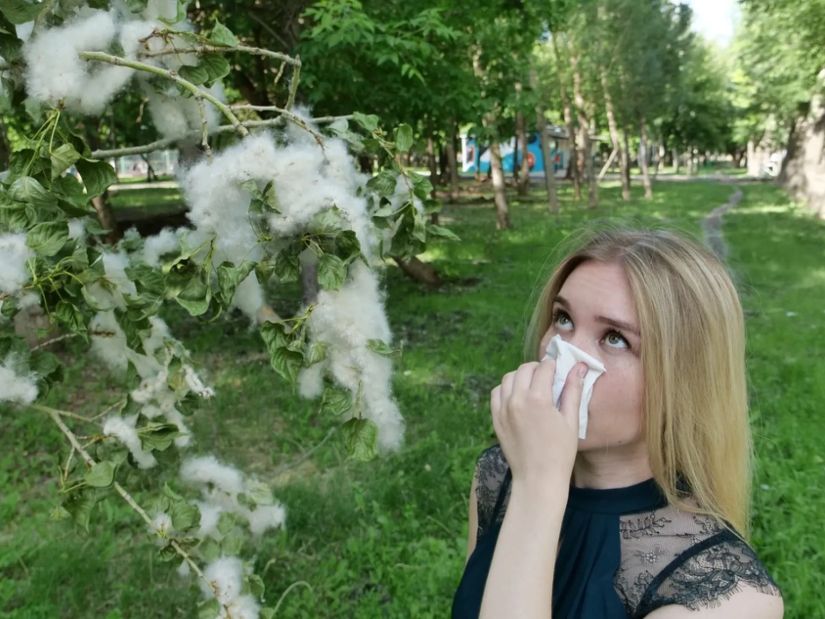 ალერგია