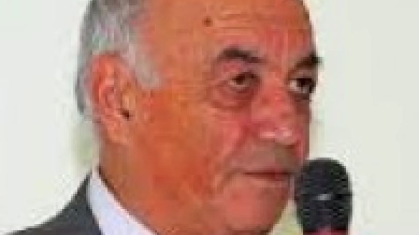 შალვა მარდი