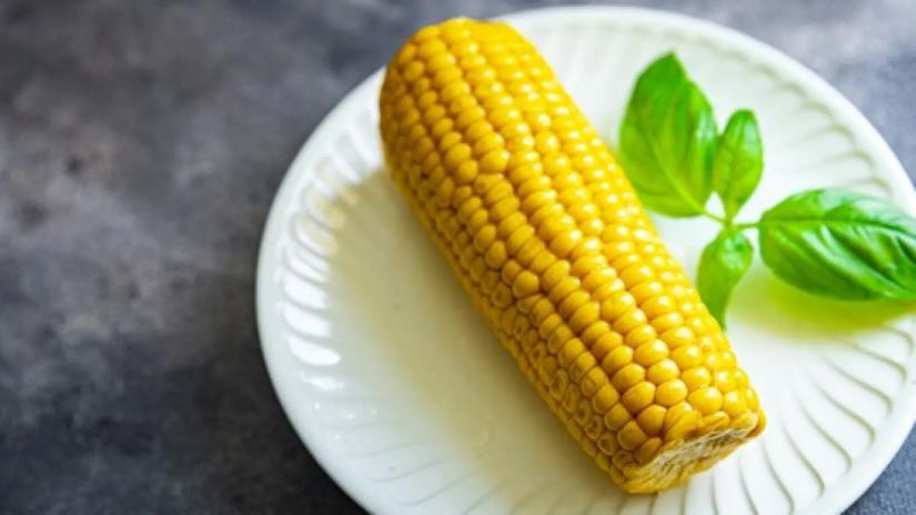 სიმინდი სიმინდი