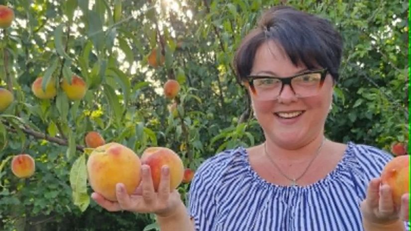 მაცაცო თოხაძე