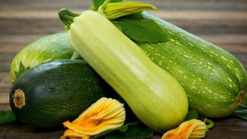 ყაბაყი